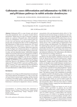 Gallotannin Causes Differentiation and Inflammation Via ERK‑1/‑2 and P38 Kinase Pathways in Rabbit Articular Chondrocytes