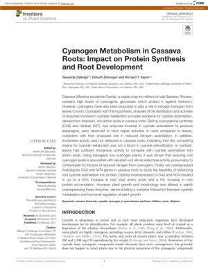 Cyanogen Metabolism in Cassava Roots: Impact on Protein Synthesis and Root Development