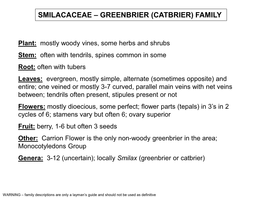 Greenbrier (Catbrier) Family