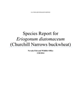 Species Report for Churchill Narrows Buckwheat