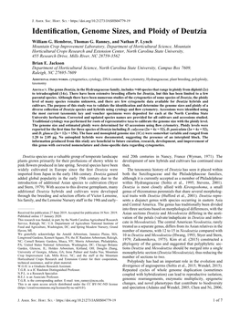 Identification, Genome Sizes, and Ploidy of Deutzia