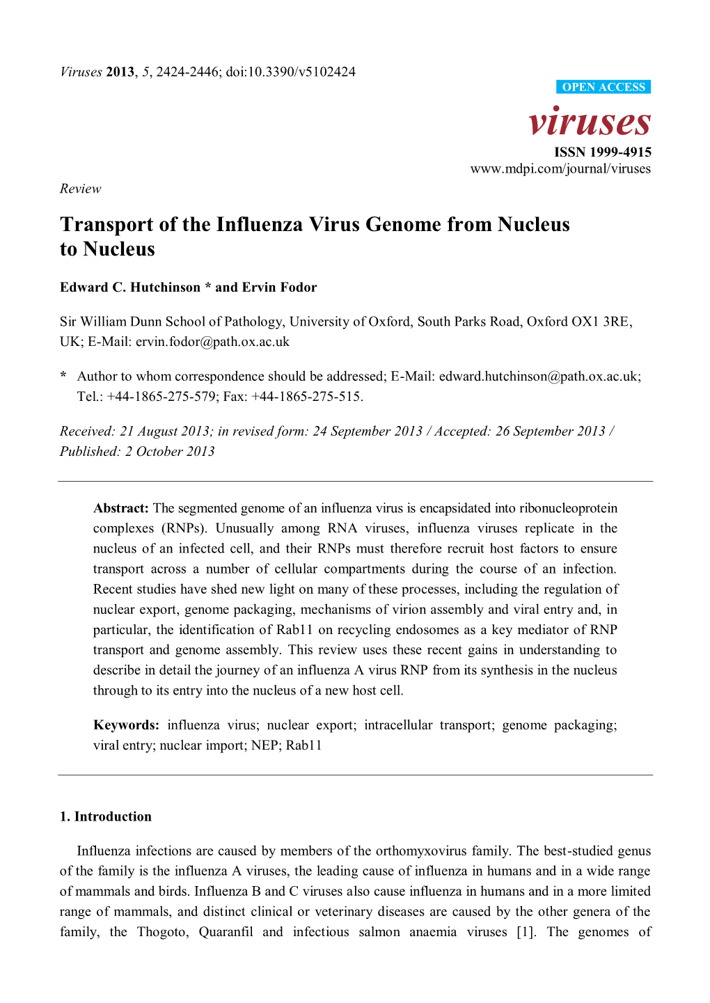 Transport of the Influenza Virus Genome from Nucleus to Nucleus