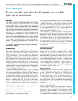 Pursuit Predation with Intermittent Locomotion in Zebrafish Alberto P