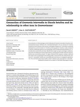 Connection of Gnomonia Intermedia to Discula Betulina and Its Relationship to Other Taxa in Gnomoniaceae5