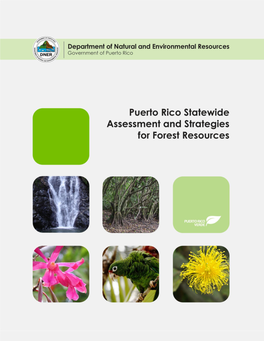 Evaluación De Los Recursos Forestales De Puerto Rico