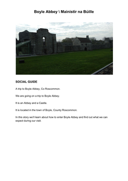 Boyle Abbey Social Guide