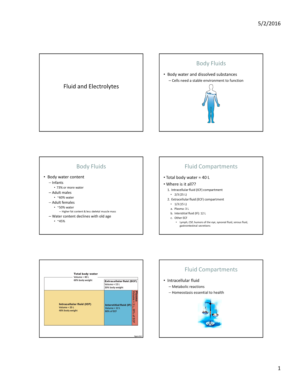 Fluid and Electrolytes Body Fluids Body Fluids Fluid Compartments