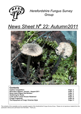 News Sheet N 22