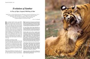 Evolution of Sambar As Prey of Tiger, Leopard, Wild Dog & Man