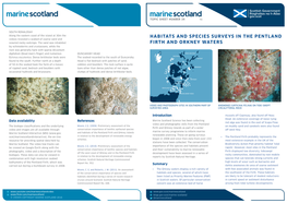 Habitats and Species Surveys in the Pentland Firth and Orkney Waters: Updated October 2016