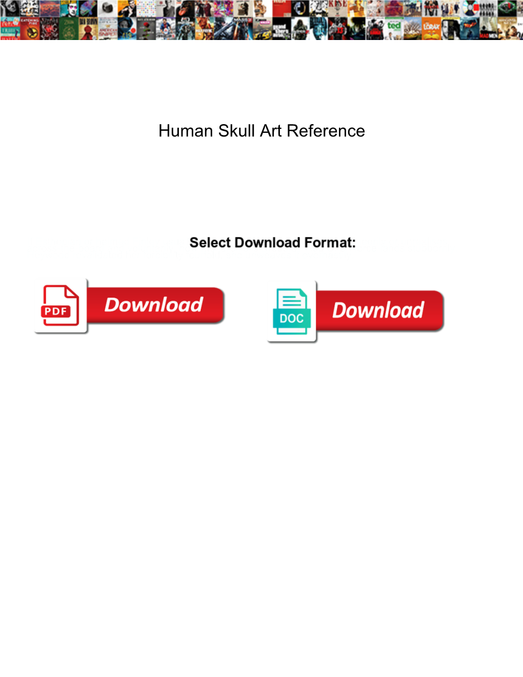 Human Skull Art Reference