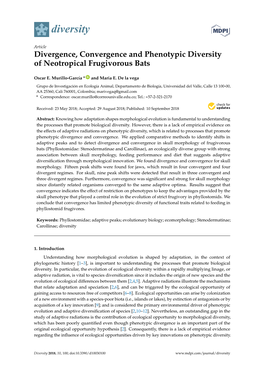 Divergence, Convergence and Phenotypic Diversity of Neotropical Frugivorous Bats