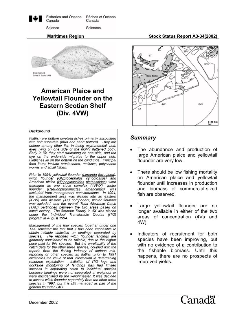 American Plaice and Yellowtail Flounder on the Eastern Scotian Shelf (Div