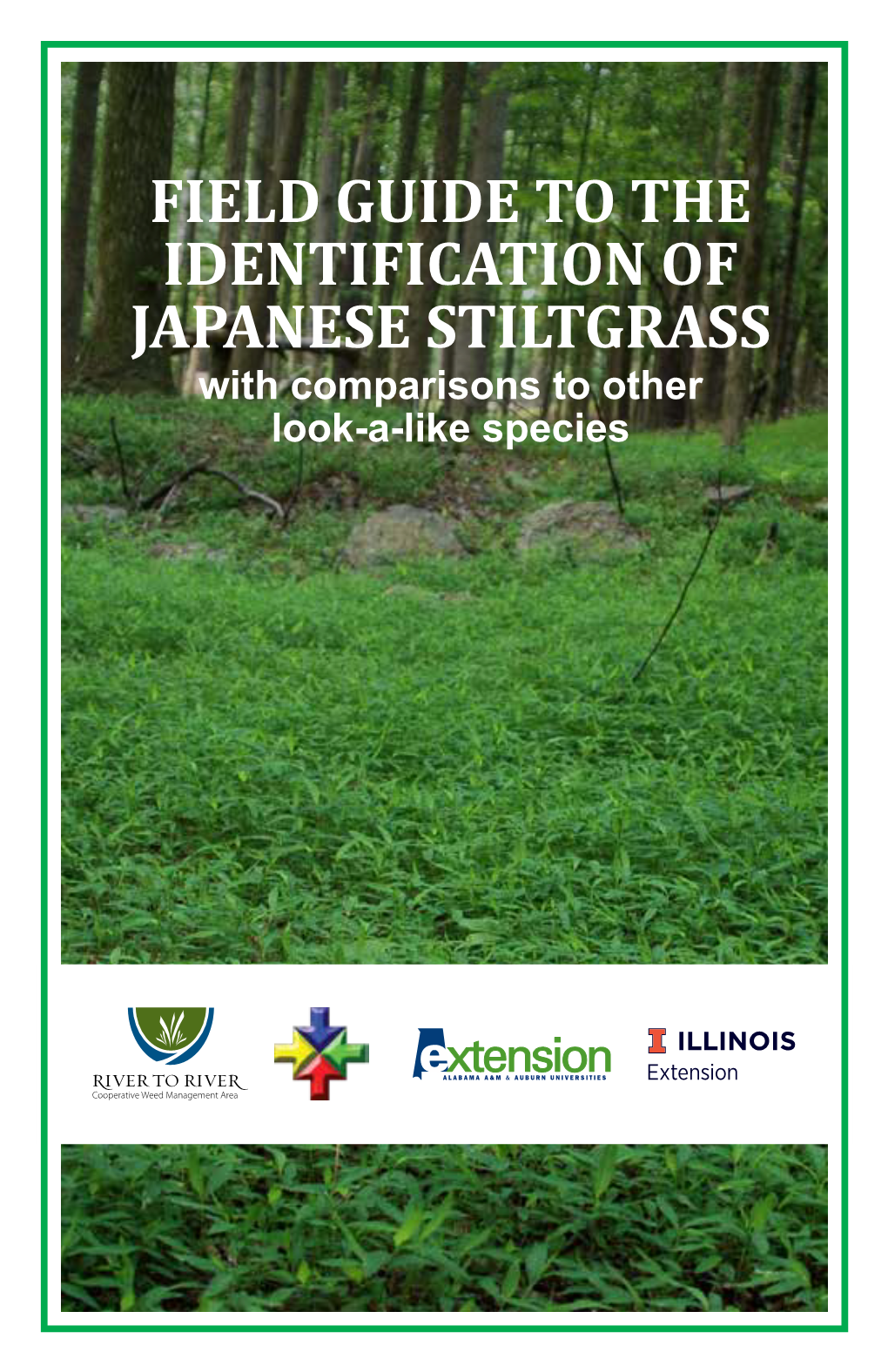 Field Guide to the Identification of Japanese Stiltgrass: with Comparisons to Other Look-A-Like Species