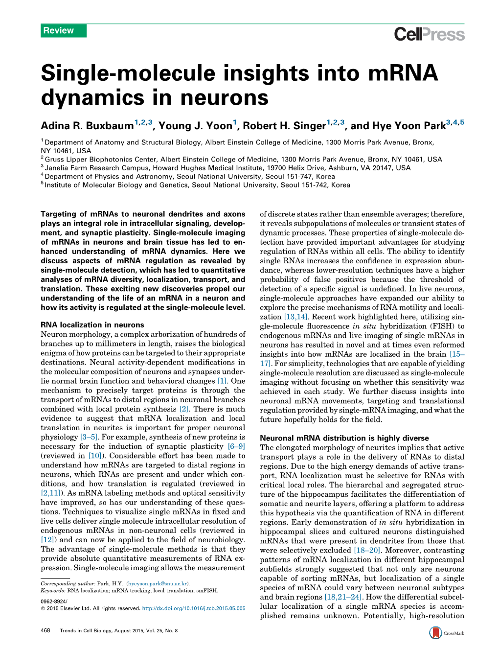 Single-Molecule Insights Into Mrna Dynamics in Neurons