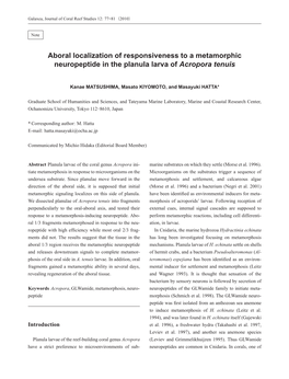 Aboral Localization of Responsiveness to a Metamorphic Neuropeptide in the Planula Larva of Acropora Tenuis