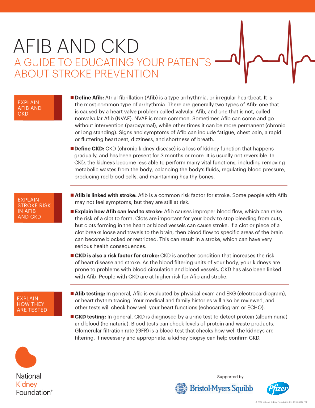 Afib and Ckd a Guide to Educating Your Patents About Stroke Prevention