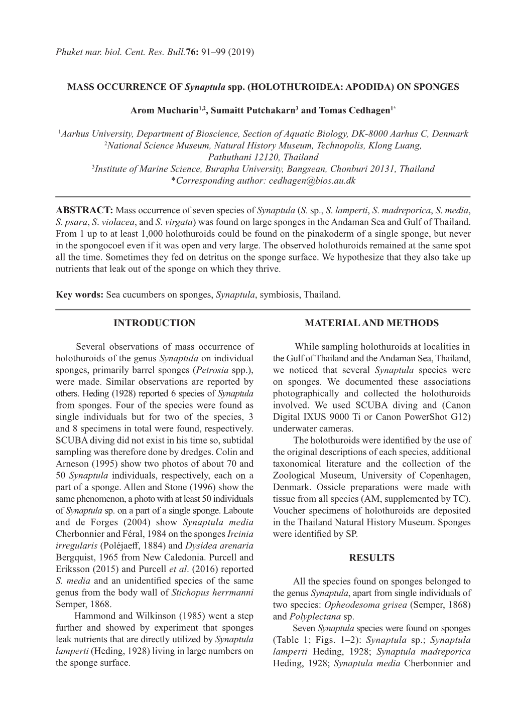 MASS OCCURRENCE of Synaptula Spp. (HOLOTHUROIDEA: APODIDA) on SPONGES