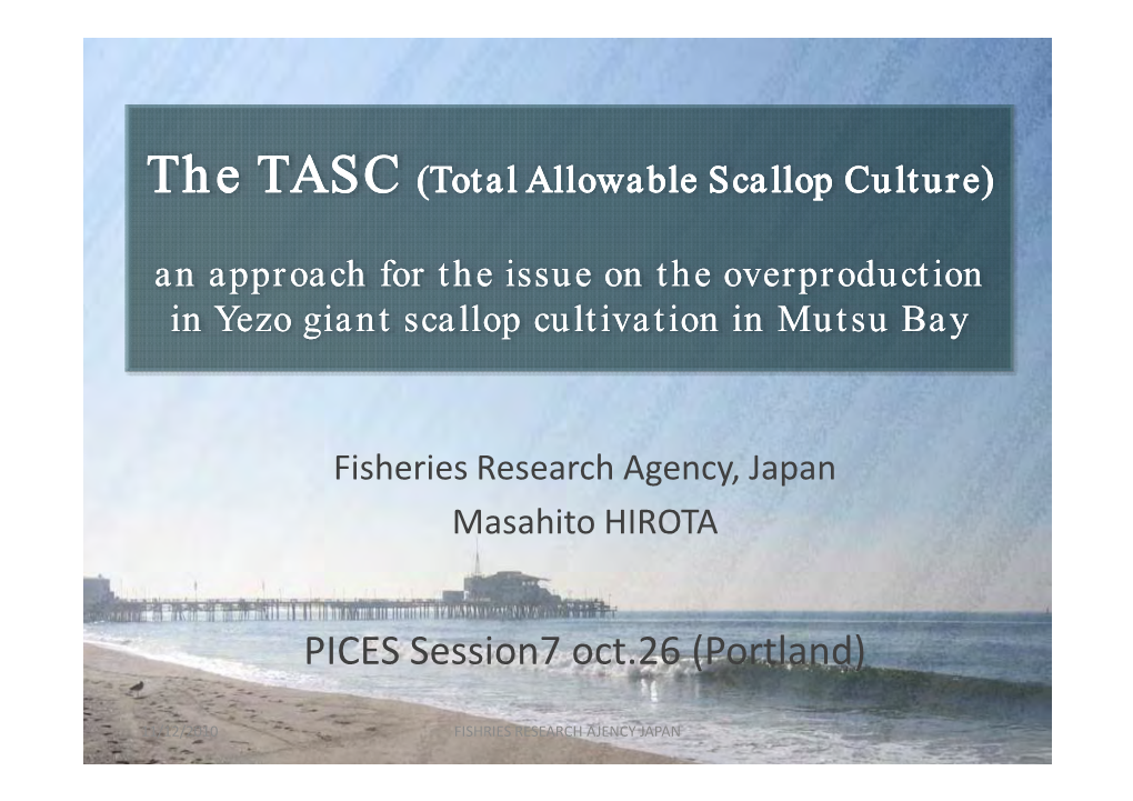 The TASC (Total Allowable Scallop Culture)