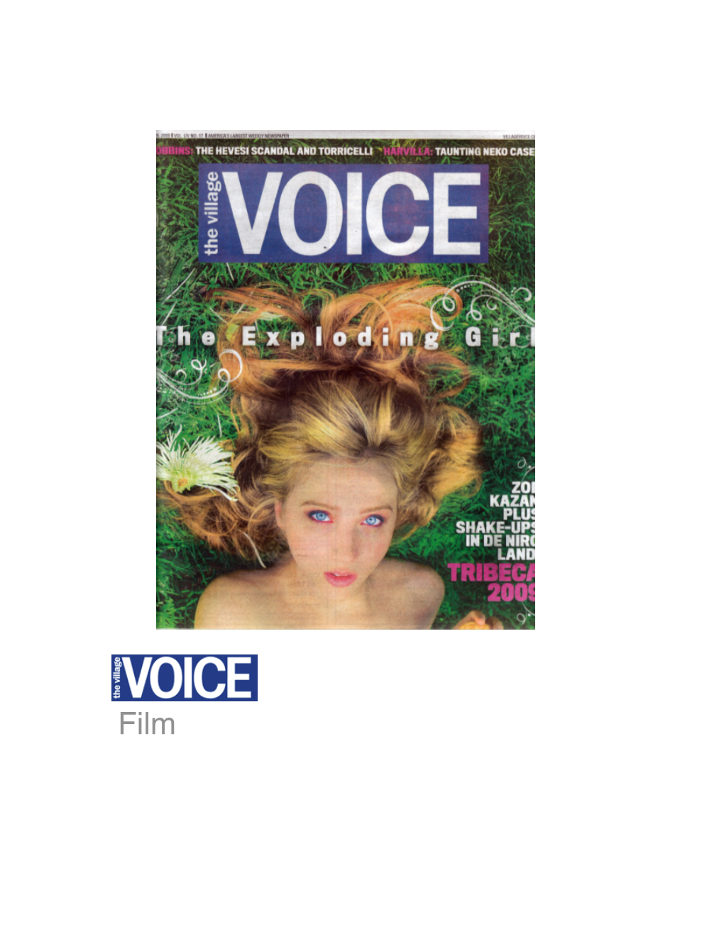 Village Voice 4/22-28/09