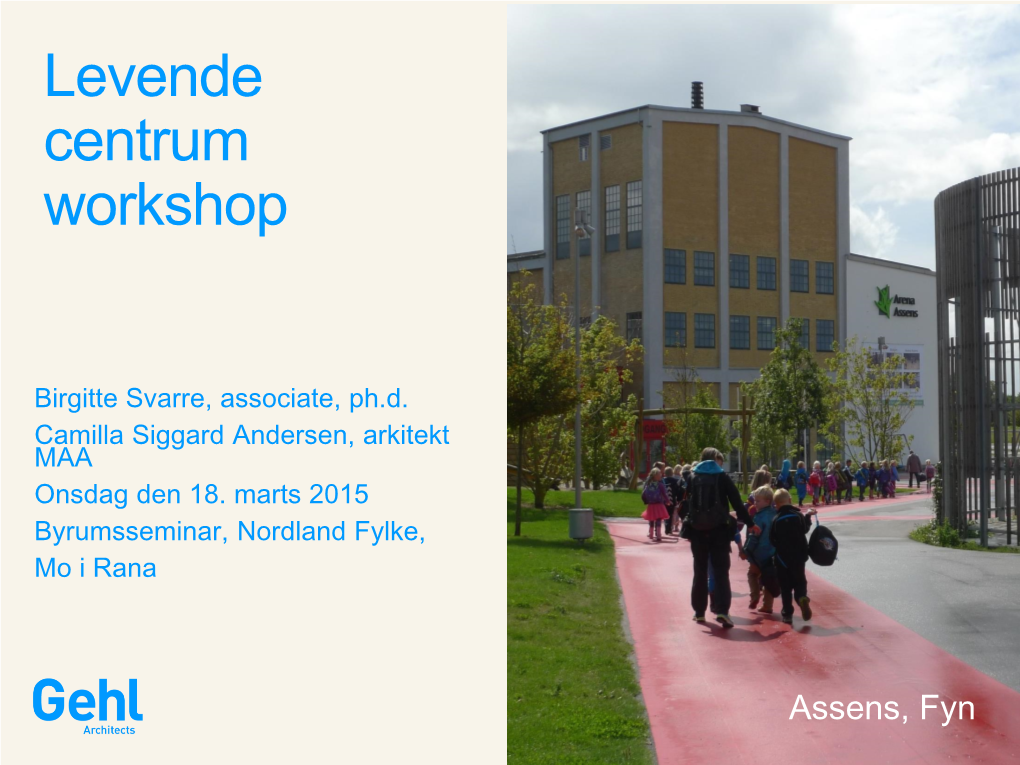 Levende Centrum Workshop