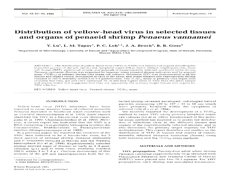 Distribution of Yellow-Head Virus in Selected Tissues and Organs of Penaeid Shrimp Penaeus Vannamei