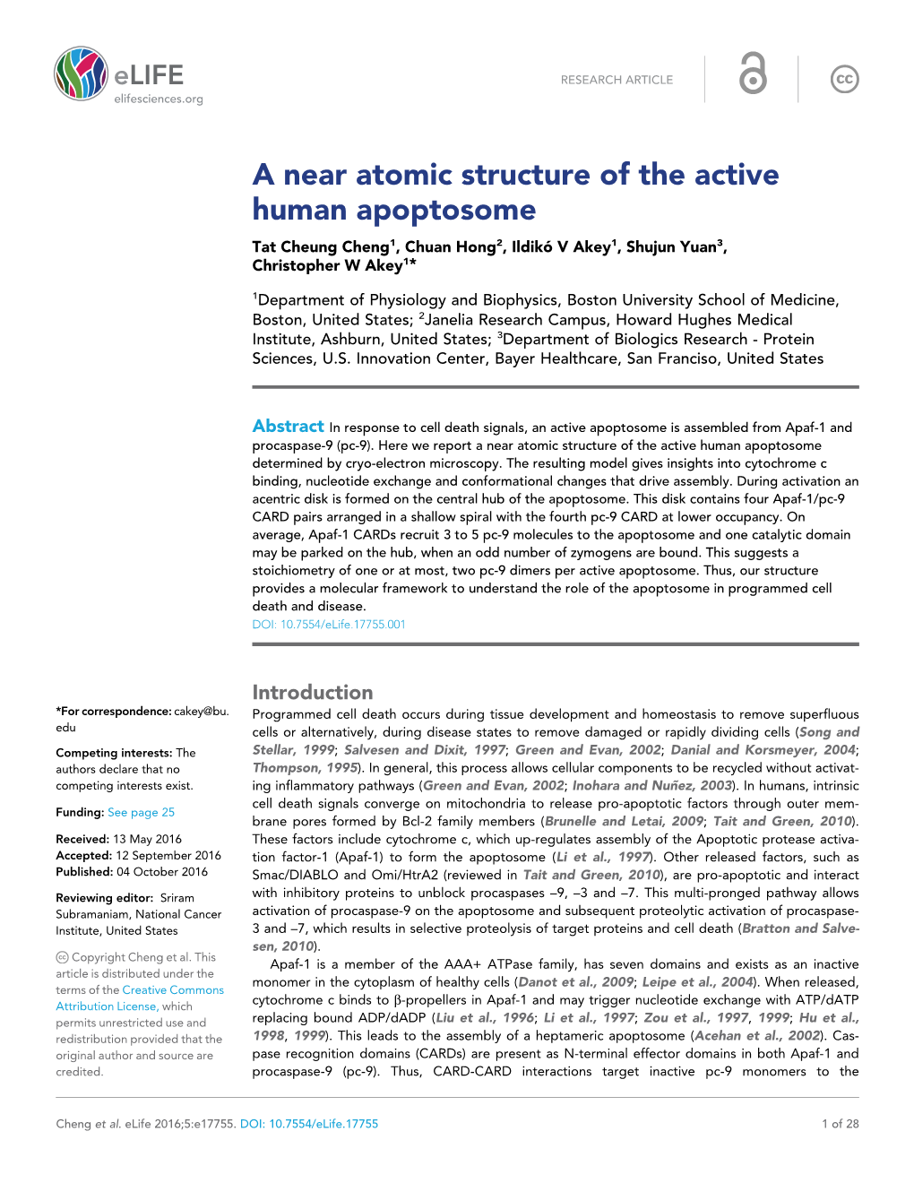 A Near Atomic Structure of the Active Human Apoptosome Tat Cheung Cheng1, Chuan Hong2, Ildiko´ V Akey1, Shujun Yuan3, Christopher W Akey1*