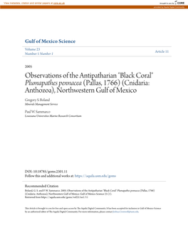 "Black Coral" Plumapathes Pennacea (Pallas, 1766) (Cnidaria: Anthozoa), Northwestern Gulf of Mexico Gregory S