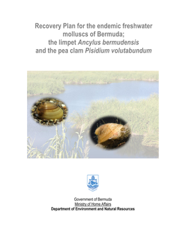 Freshwater Limpet and Pea Clam Recovery Plan