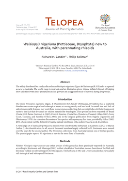 Weisiopsis Nigeriana (Pottiaceae, Bryophyta) New to Australia, with Perennating Rhizoids