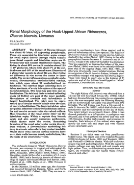 Renal Morphology of the Hook-Lipped African Rhinoceros, Diceros Bicornis, Linnaeus