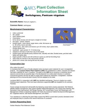Plant Collection Information Sheet Switchgrass, Panicum Virgatum