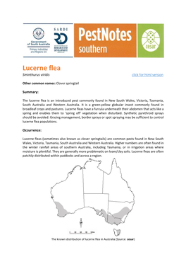 Lucerne Flea Sminthurus Viridis Click for Html Version