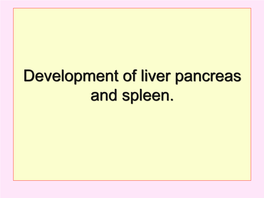 Development of Liver Pancreas and Spleen. the Liver Is Endodermal in Origin