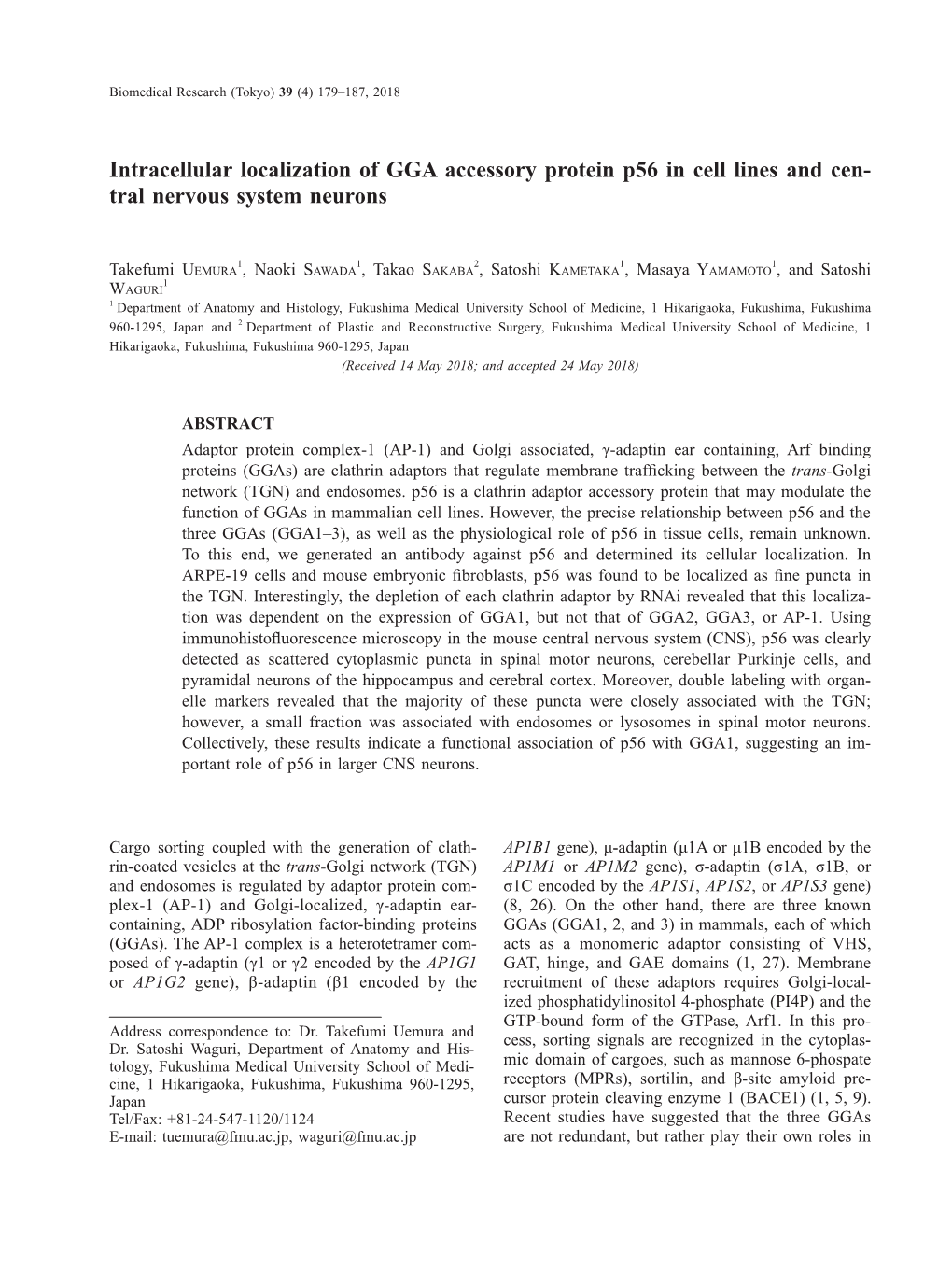 Intracellular Localization of GGA Accessory Protein P56 in Cell Lines and Cen- Tral Nervous System Neurons