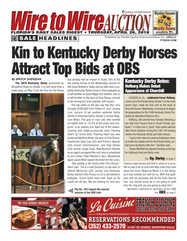 Kin to Kentucky Derby Horses Attract Top Bids at OBS Has Already Had an Impact in Ocala