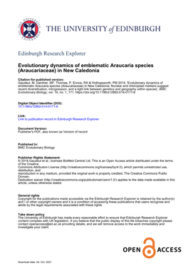 Evolutionary Dynamics of Emblematic Araucaria Species