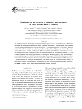 Morphology and Ultrastructure of Megaspores and Microspores of Isoetes Sehnemii Fuchs (Lycophyta)