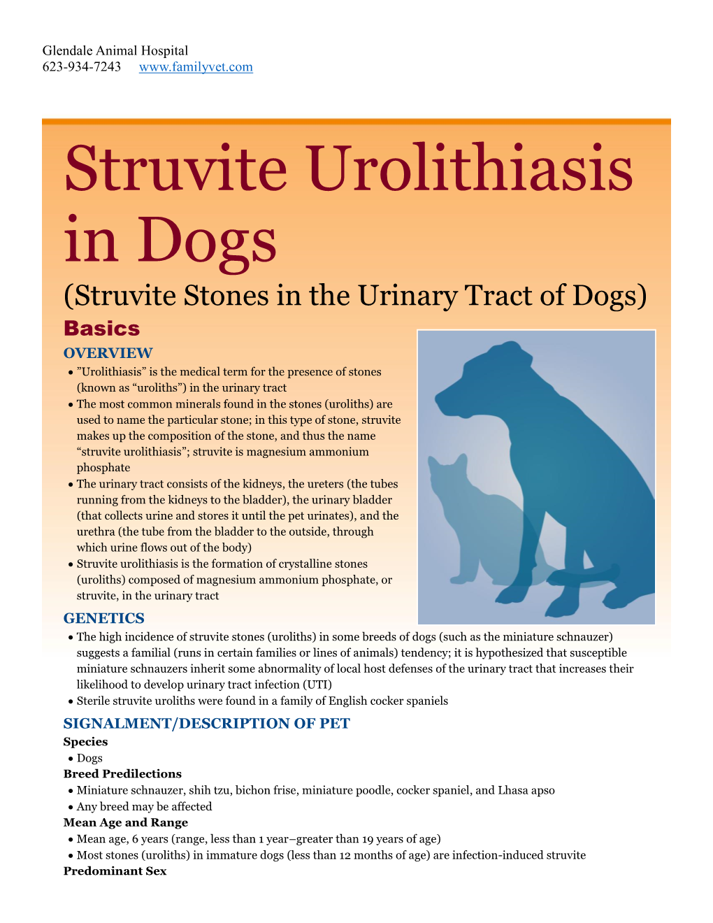 struvite-urolithiasis-in-dogs-docslib