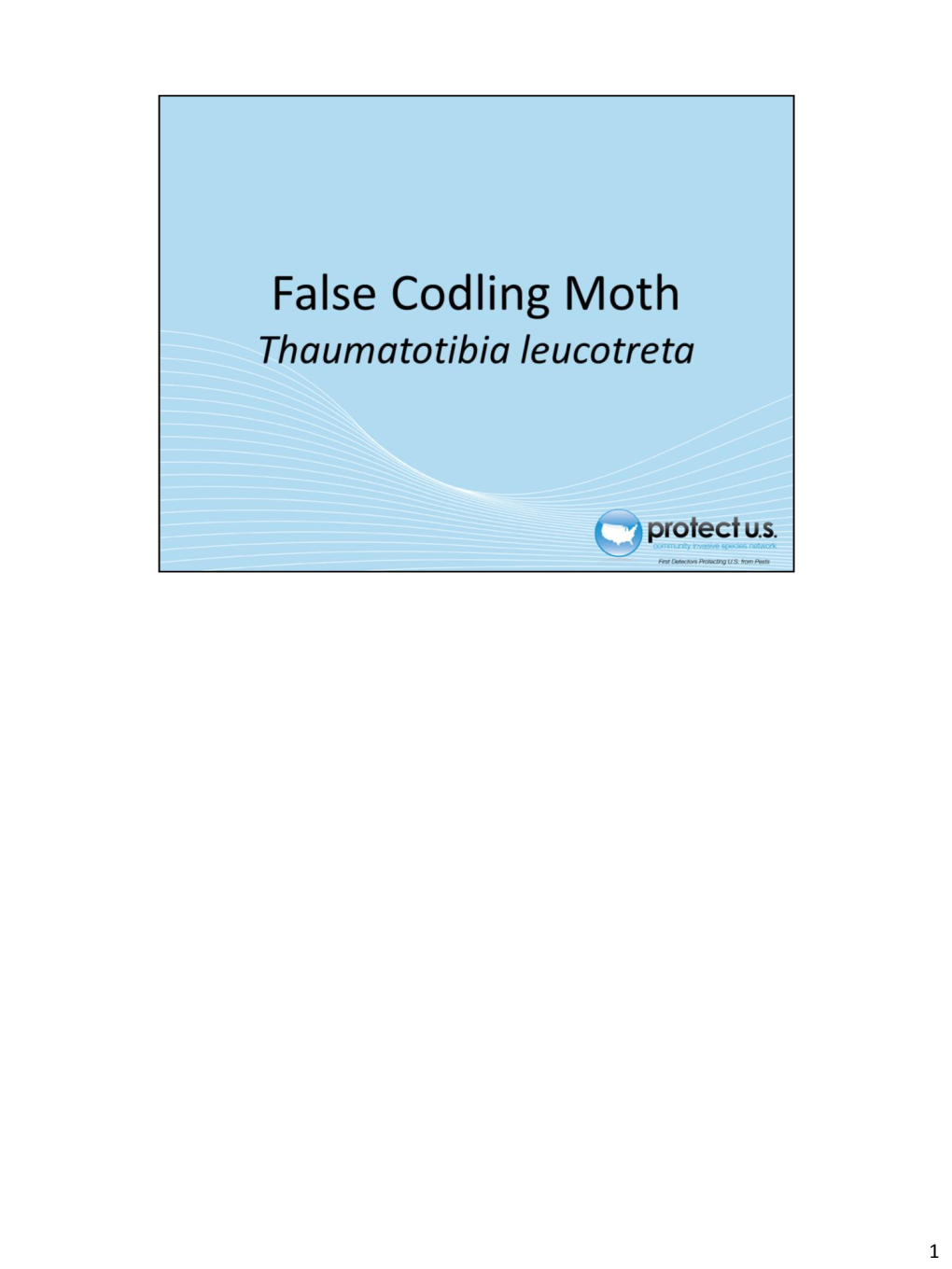 Falsecodlingmoth.Pdf