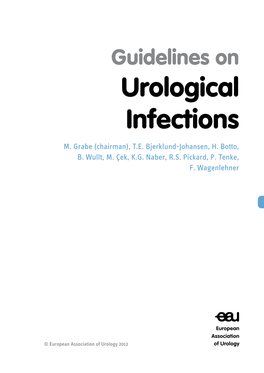 Guidelines on Urologic Infections