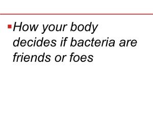 How Your Body Decides If Bacteria Are Friends Or Foes § Would You