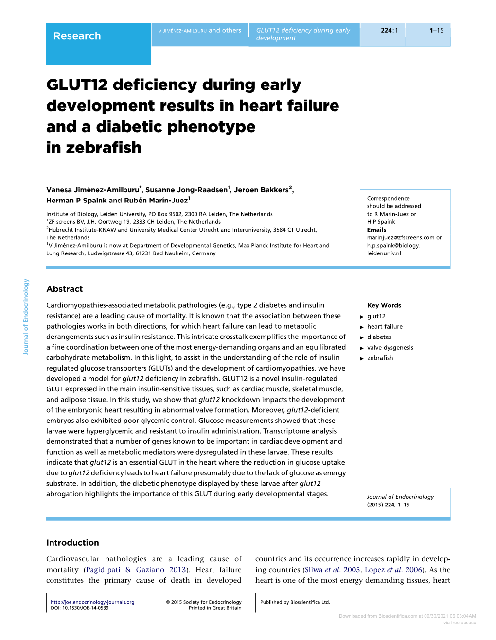 GLUT12 Deficiency During Early Development Results in Heart Failure