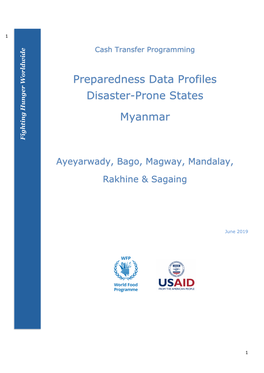 Preparedness Data Profiles Disaster-Prone States Myanmar