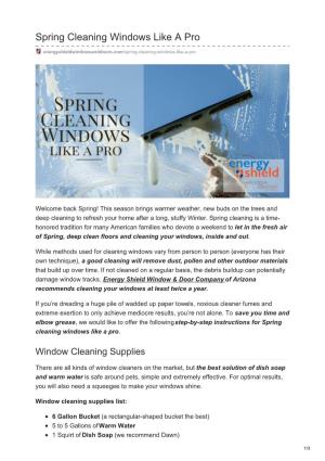 Spring Cleaning Windows Like a Pro