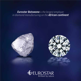 Eurostar Botswana Is the Largest Employer in Diamond