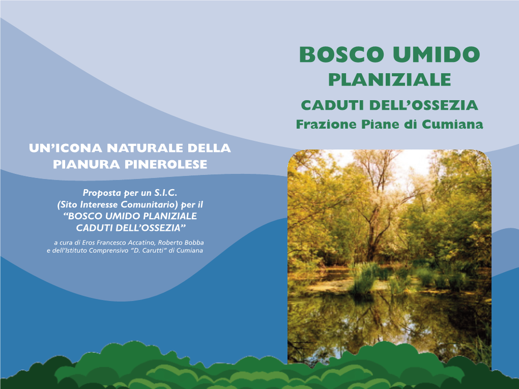 BOSCO UMIDO PLANIZIALE CADUTI DELL’OSSEZIA Frazione Piane Di Cumiana UN’ICONA NATURALE DELLA PIANURA PINEROLESE