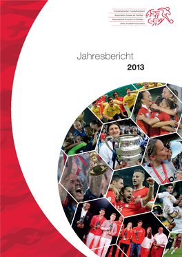 Jahresbericht 2 013 2013 Jahresbericht