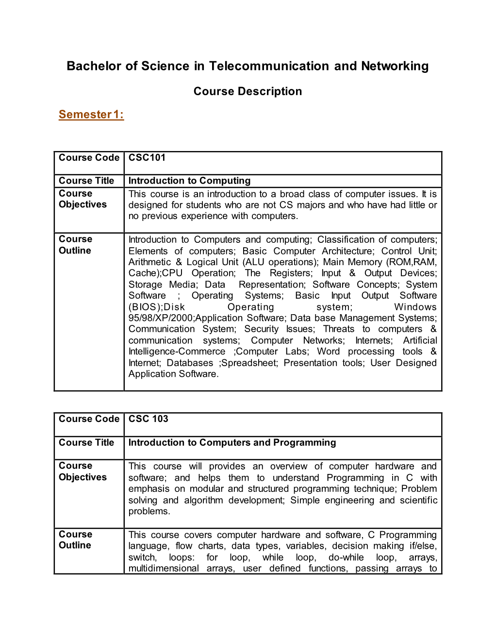 Bachelor of Science in Telecommunication and Networking