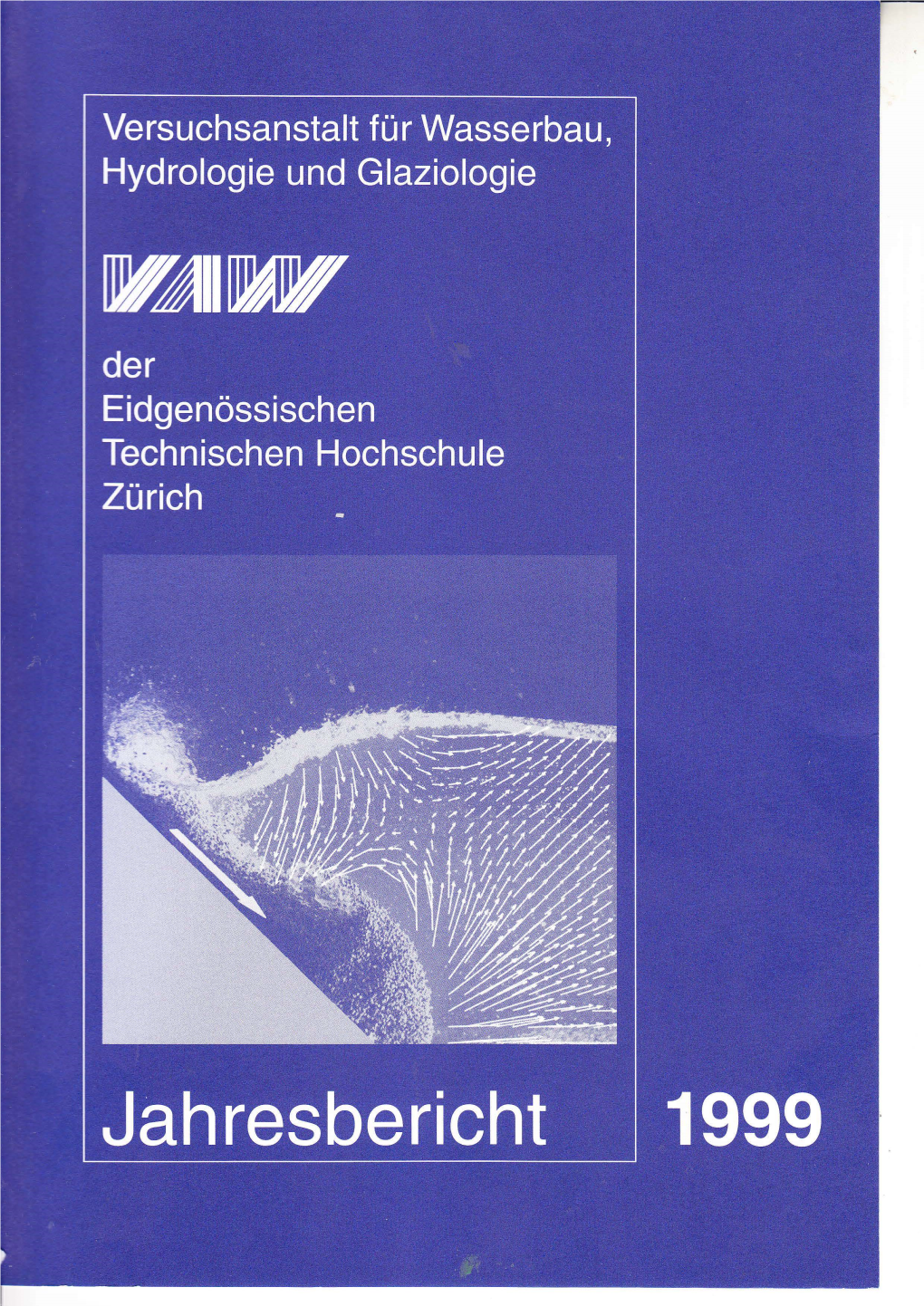 Jahresbericht 1999